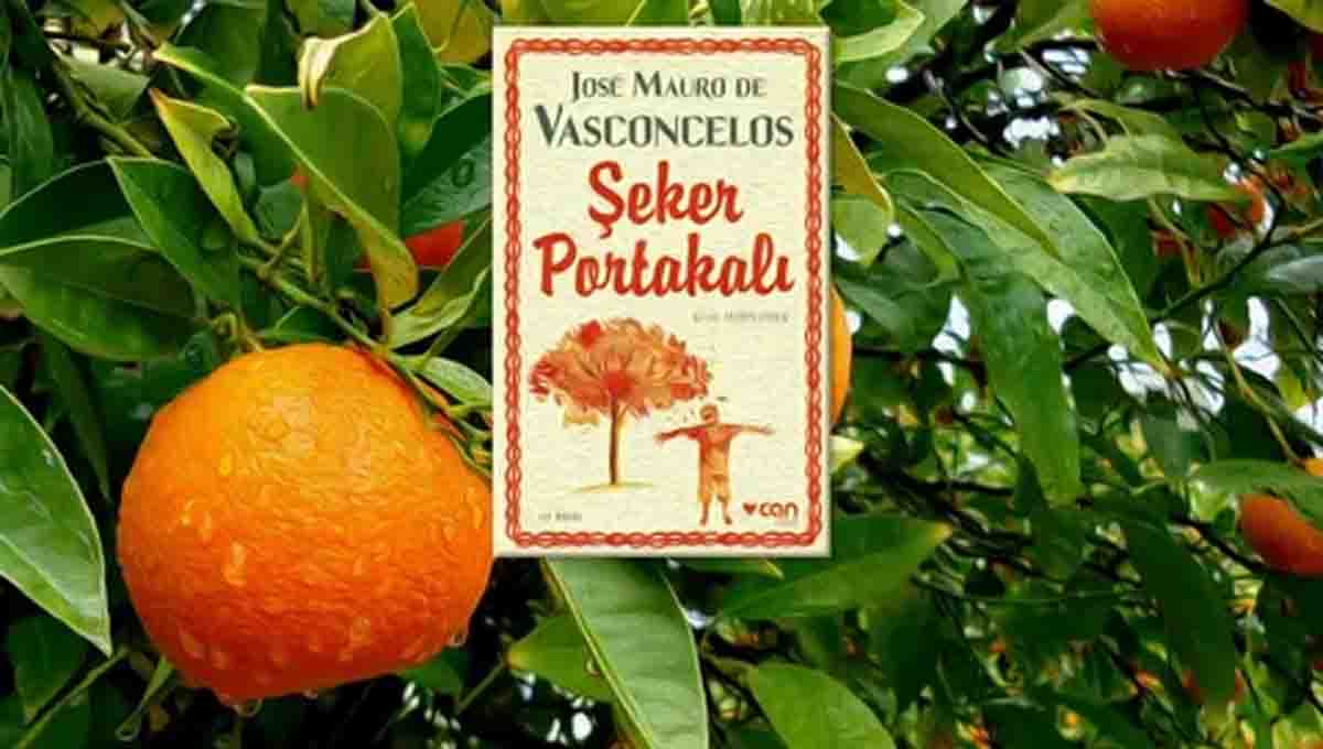 Şeker portakali & Jose Mauro De Vasconcelos